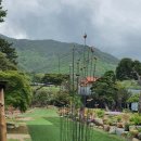 목석화수 이미지