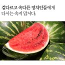 그냥 심심해서요. (24351) 이 체포안 가결에 색출 나서 이미지