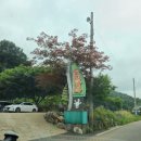 강촌 토종삼계탕 | 엘리시안강촌 맛집 초복 오리날다 토종삼계탕으로 즐기기