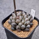 주천농장 이미지