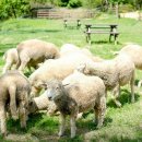 연계목장 이미지