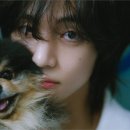 애드크루즈