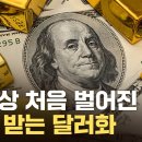 '털썩' 주저앉는 달러 가치...공포에 천장 뚫린 금값 이미지