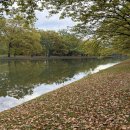 구름자리 이미지