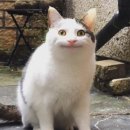 [후기] 그 시절, 우리가 좋아했던 소녀 무대인사 후기 / 다현 , 진영