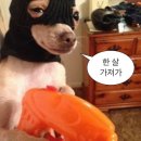 풀미당국수 | 행복한 다낭 3박 4일 커플 여행❤️/인천공항 주차대행/다낭 맛집/다낭리조트/솔직후기