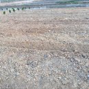 장곡농장 이미지