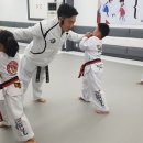 경희대박사 태산태권도 이미지