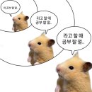도동흑염소 | Nov #1 • 가을 타나 봐 🍂