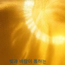 조이모 이미지