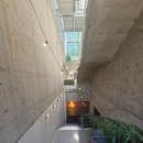 펜의미학+ 힐링 젠탱글 아트 | 성수동 실내 데이트 코스 뚝섬 미술관 사랑의 단상 인생샷과 힐링을 동시에!