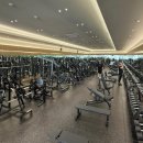 시그널짐 플레티넘 이미지