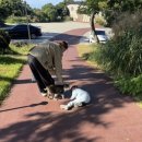 제주녹지리조트1 | 제주 애월 숙소 : 아기랑 제주 올레 리조트 디럭스 트윈 오션뷰 내돈내산 방문 후기