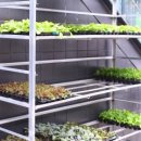 충남농약사 이미지