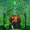 도계읍보건지소 이미지