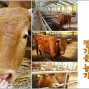 이성자농장 이미지