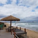 송도해수욕장 이미지