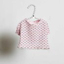 체리애견 이미지