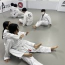 아트 주짓수 레슬링 이미지