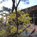 산들휴게소