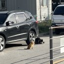 지평 1보 네이버블로그