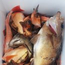 포항시남구장기면양포보건진료소 이미지