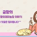 로보티머(ROBOTEEMER)