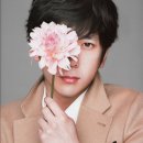 도토약국 이미지