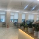 코드네임보드게임카페 이미지