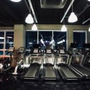 소나무 휘트니스 이미지