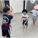 옥길버들초 이미지