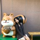 강릉앤솔 이미지