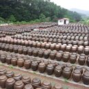 평화농장 이미지