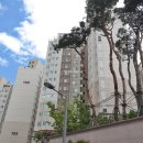 불광초등 이미지