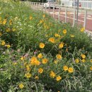 여치공원 이미지