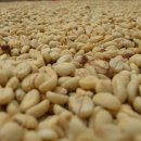 벨라비스타 이미지