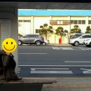 GS25 여수오동도 이미지