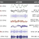 '뇌파'와 '학습'의 관련성 이미지