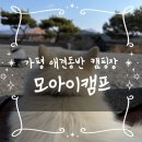 모아이 | 가평 애견동반 캠핑장 사이트 넓고 깨끗한 모아이캠프 후기