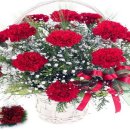 어버이 주일 (The Parent&#39;s Sunday) 이미지