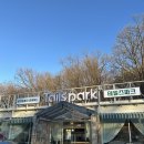 애견#(샾) | 용인 기흥 애견카페 테일즈파크 가격 주차정보 내돈내산 솔직후기