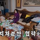 며느리식품 스포츠조선