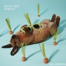 앤스타일 - 시흥시 서울대학로278번길 26 | 앤스타일
