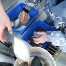 원원민박 이미지