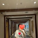 신혼여행! (1)