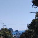 지에스25 법환포구 | [제주의 봄 20] 서귀포 법환동 강정마을 두머니물 유원지, 유채꽃과 바다 그리고 경이로운 해안길 산책