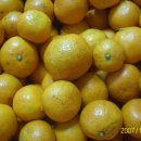 비학농장 이미지