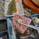 다대포항고기 이미지