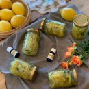 저녁아로마테라피 이미지