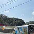 NEW 조선통신사 | 대마도 1박2일 부산에서 가볍게 떠나기 좋은 일본 패키지 여행 코스 2일차